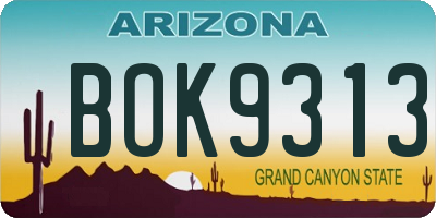 AZ license plate BOK9313