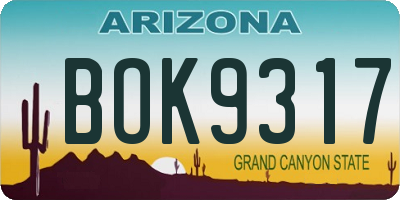 AZ license plate BOK9317