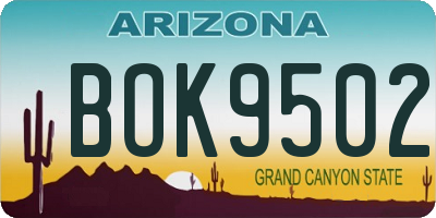 AZ license plate BOK9502