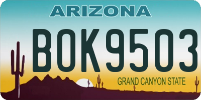 AZ license plate BOK9503