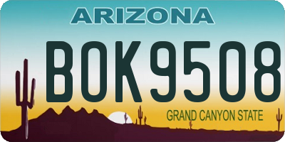 AZ license plate BOK9508
