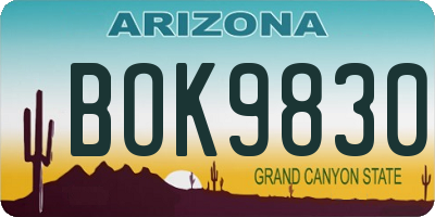 AZ license plate BOK9830