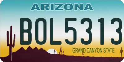 AZ license plate BOL5313