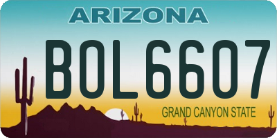 AZ license plate BOL6607