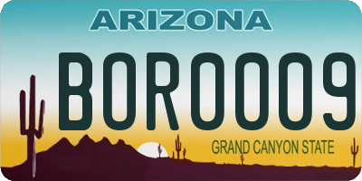 AZ license plate BOR0009