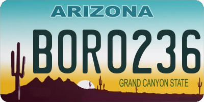 AZ license plate BOR0236
