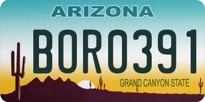 AZ license plate BOR0391