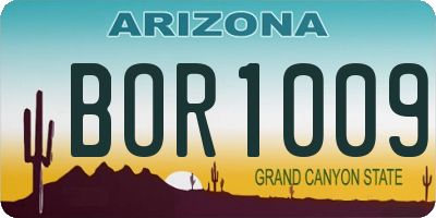 AZ license plate BOR1009