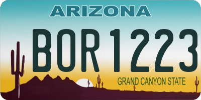 AZ license plate BOR1223