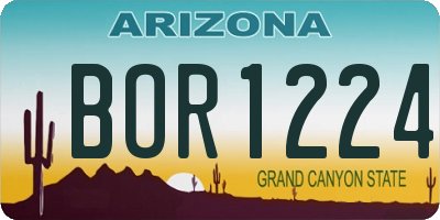 AZ license plate BOR1224