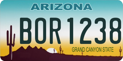 AZ license plate BOR1238