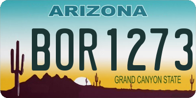 AZ license plate BOR1273
