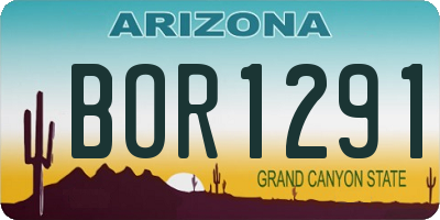 AZ license plate BOR1291