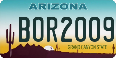 AZ license plate BOR2009