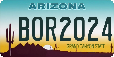 AZ license plate BOR2024