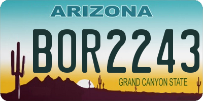 AZ license plate BOR2243
