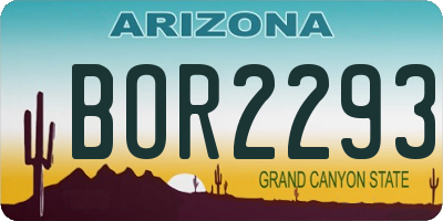 AZ license plate BOR2293