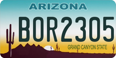 AZ license plate BOR2305