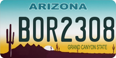 AZ license plate BOR2308