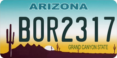 AZ license plate BOR2317