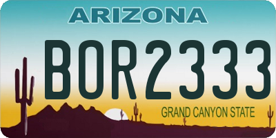 AZ license plate BOR2333