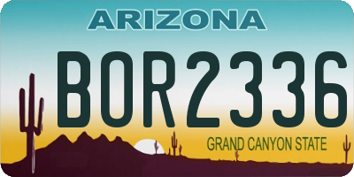 AZ license plate BOR2336