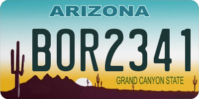 AZ license plate BOR2341