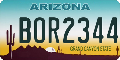 AZ license plate BOR2344
