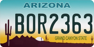 AZ license plate BOR2363