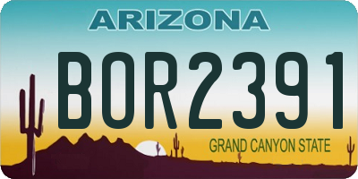 AZ license plate BOR2391