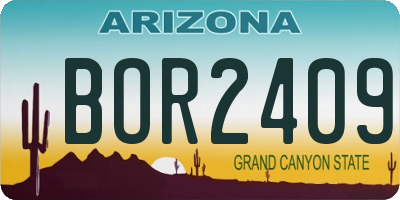 AZ license plate BOR2409