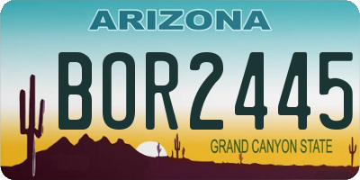 AZ license plate BOR2445
