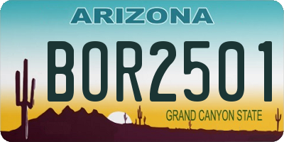 AZ license plate BOR2501
