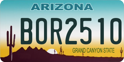 AZ license plate BOR2510