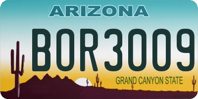 AZ license plate BOR3009
