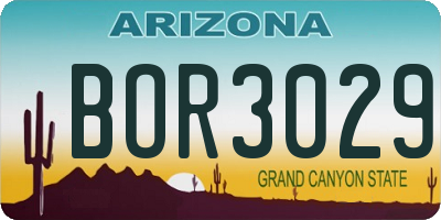 AZ license plate BOR3029