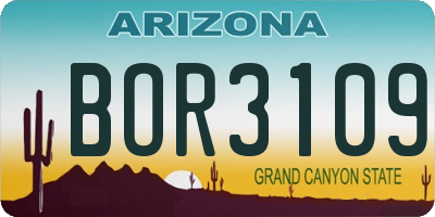 AZ license plate BOR3109
