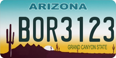 AZ license plate BOR3123