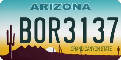 AZ license plate BOR3137