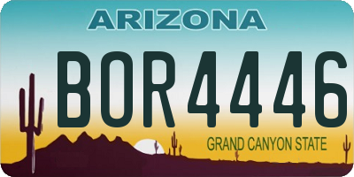 AZ license plate BOR4446