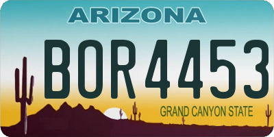 AZ license plate BOR4453
