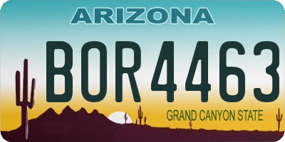 AZ license plate BOR4463