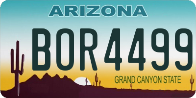 AZ license plate BOR4499