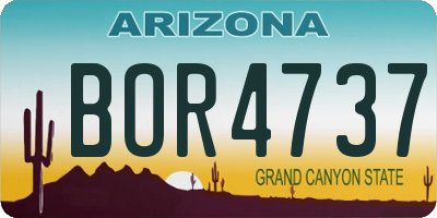 AZ license plate BOR4737