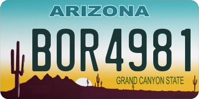 AZ license plate BOR4981