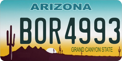 AZ license plate BOR4993