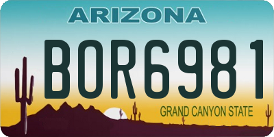 AZ license plate BOR6981