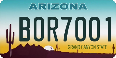 AZ license plate BOR7001