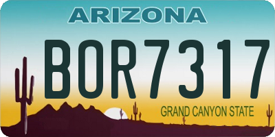 AZ license plate BOR7317
