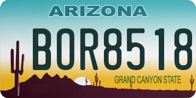 AZ license plate BOR8518